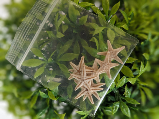 Mini Starfish Nail Art